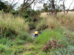 Segese_River_Ilunde_Forest_Reserve_kiri-2008lt.jpg